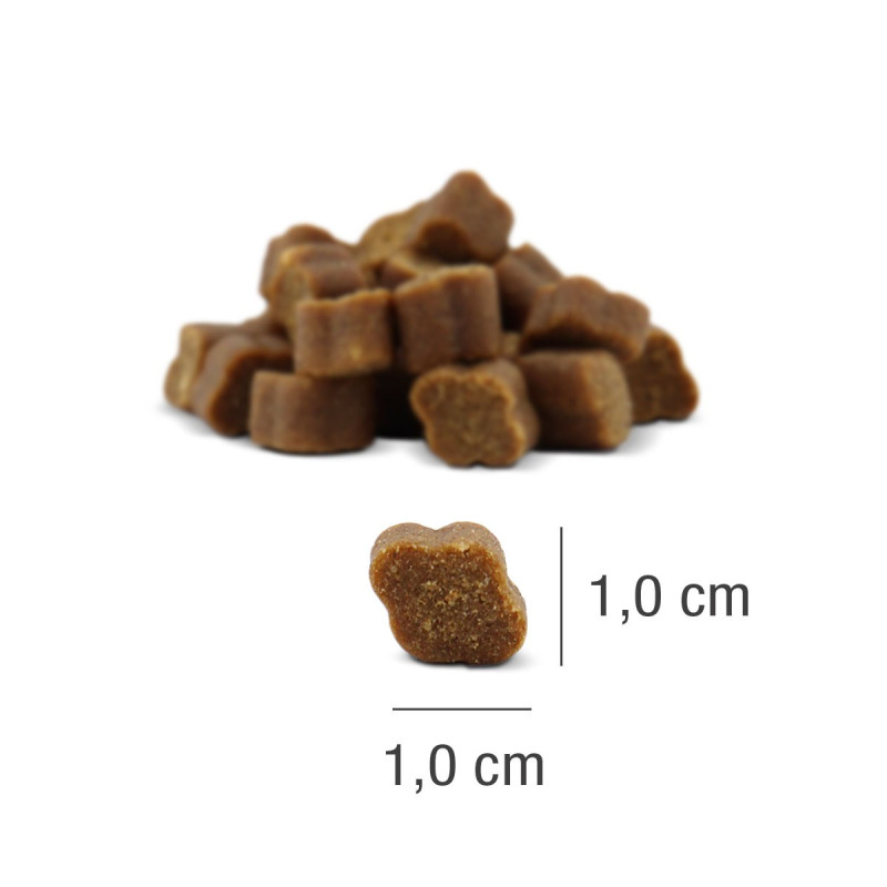 PLATINUM Fit-Bits Protect (4260208742164) | Platinum Polska