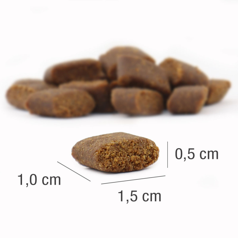 PLATINUM Adult Beef (4260208740658) | Platinum Polska