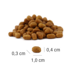 PLATINUM MeatCrisp Kitten Fish (4260208742836) | Platinum Polska