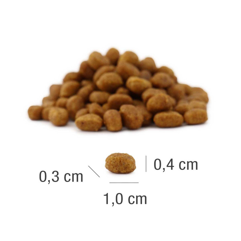 PLATINUM MeatCrisp Kitten Fish (4260208742836) | Platinum Polska