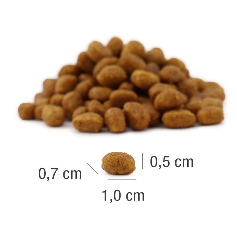 PLATINUM MeatCrisp Sterilised Fish (4260208742805) | Platinum Polska