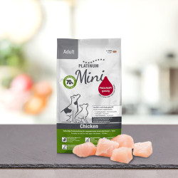 PLATINUM Adult Chicken Mini (4260208742591) | Platinum Polska