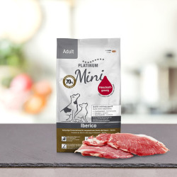 PLATINUM Adult Iberico Mini (4260208742607) | Platinum Polska